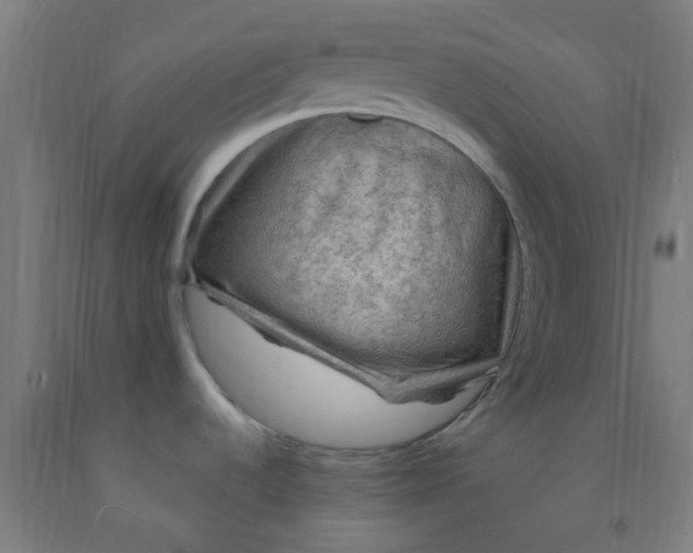 X0000092031536200709271559