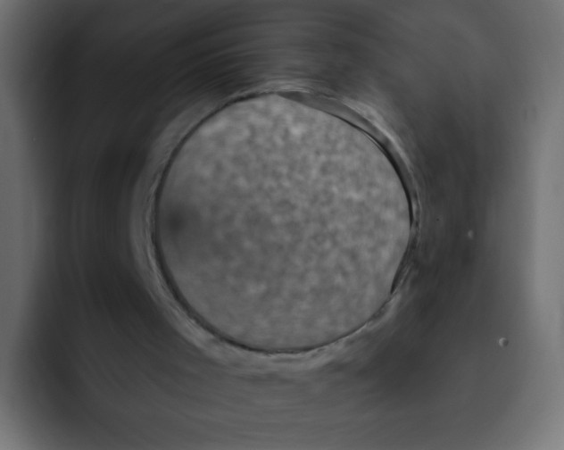 X0000092030001200710041110