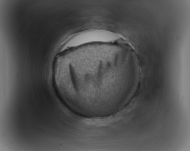 X0000092030005200710041110