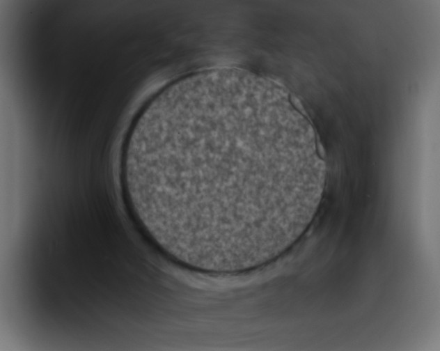 X0000092030006200710041110