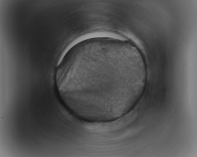 X0000092030009200710041110