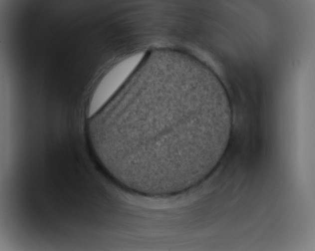 X0000092030010200710041110