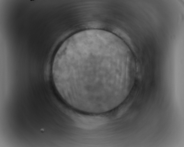 X0000092030012200710041110