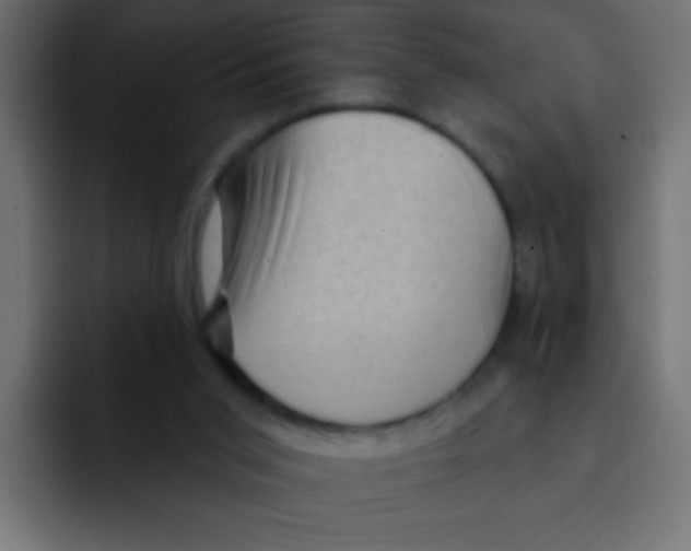 X0000092030015200710041110