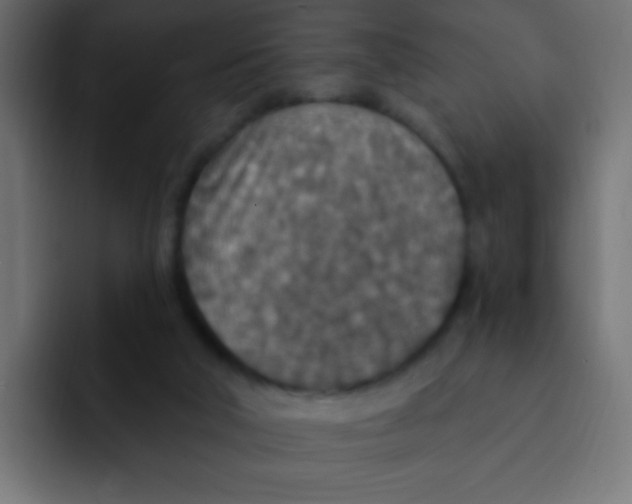 X0000092030018200710041110