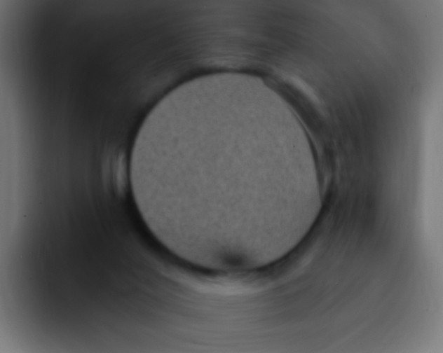 X0000092030020200710041109