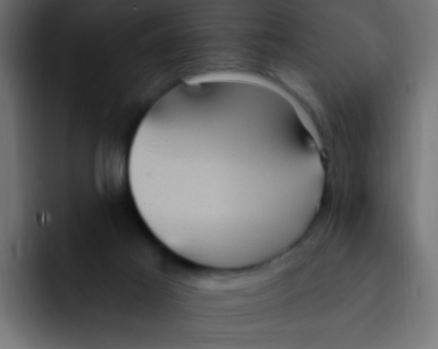 X0000092030021200710041109