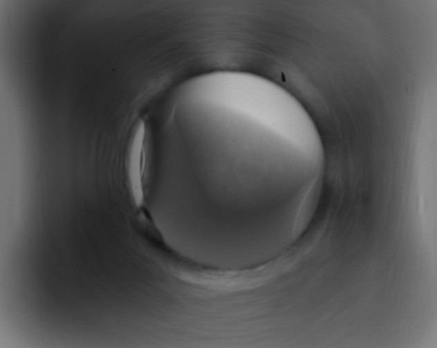 X0000092030023200710041109