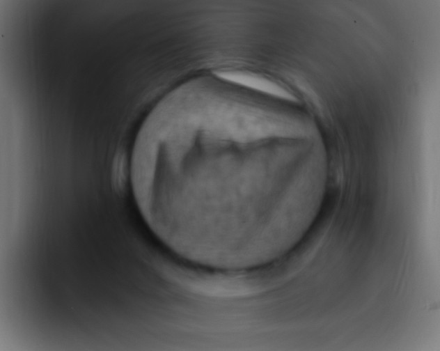 X0000092030024200710041109