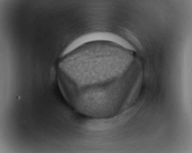 X0000092030025200710041109