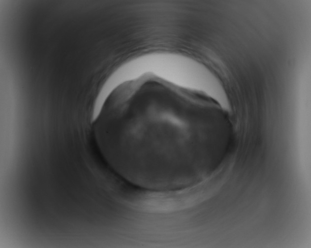 X0000092030029200710041109