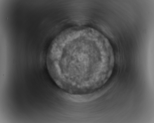 X0000092030030200710041109