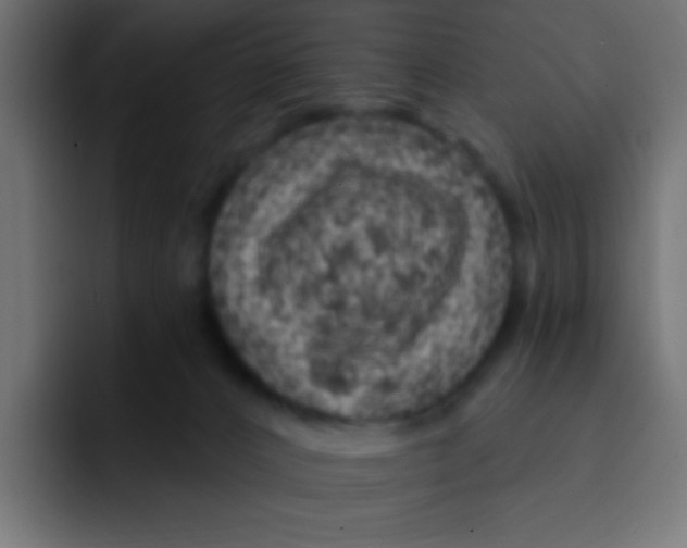 X0000092030032200710041109