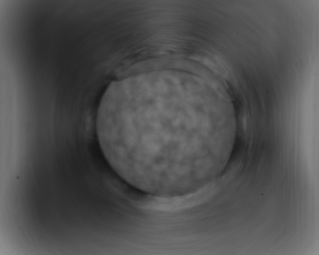 X0000092030037200710041109