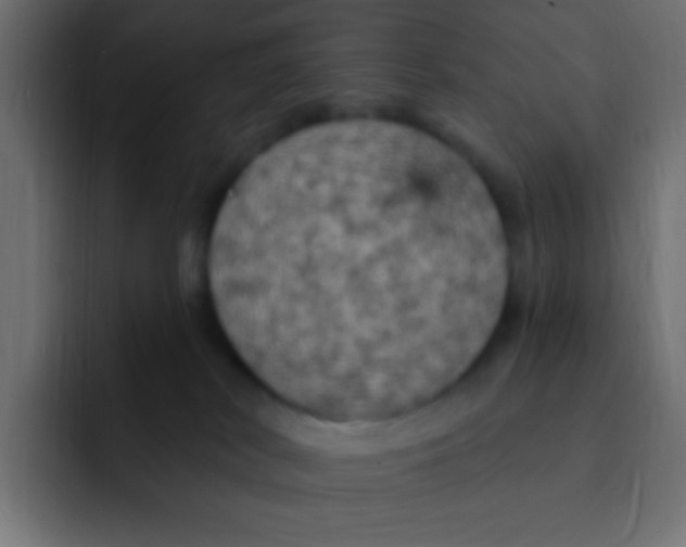 X0000092030038200710041109