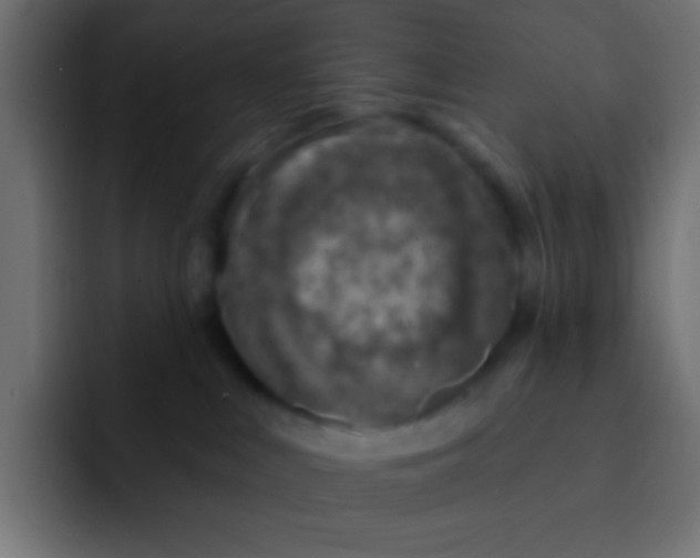 X0000092030043200710041109