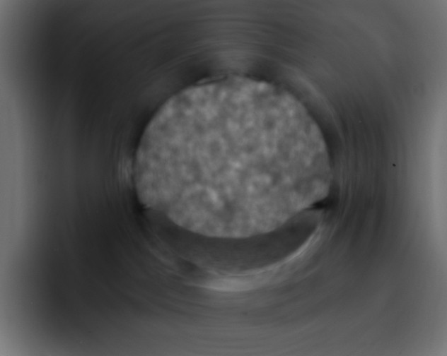 X0000092030045200710041109