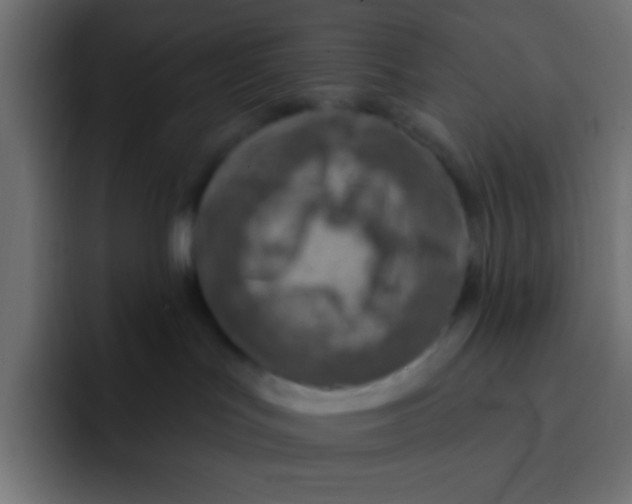 X0000092030047200710041109