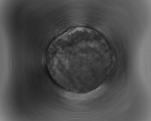 X0000092030048200710041109