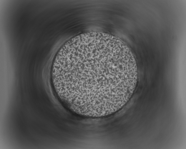 X0000092030049200710041109