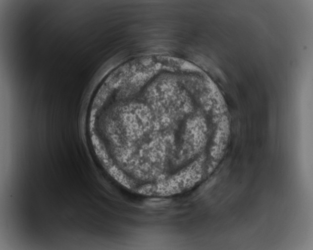 X0000092030051200710041109