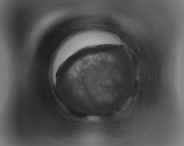 X0000092030052200710041109