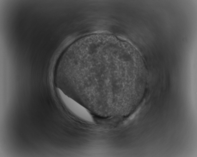 X0000092030055200710041109