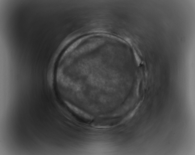 X0000092030056200710041109