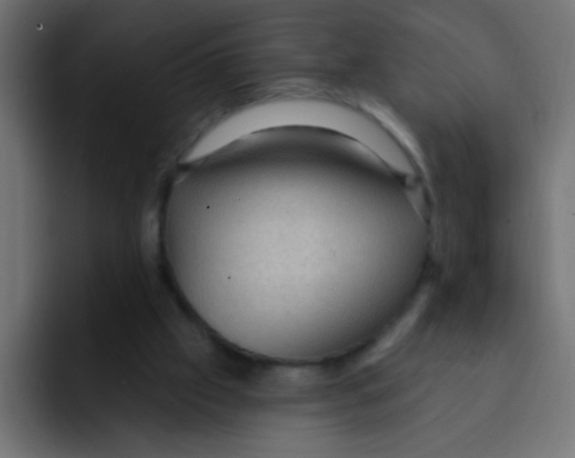 X0000092030057200710041109