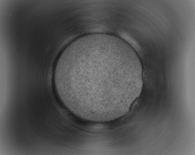 X0000092030058200710041109