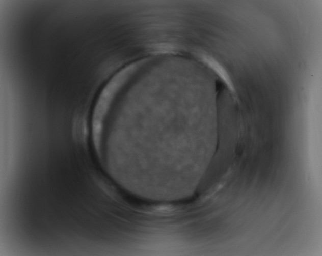 X0000092030059200710041109