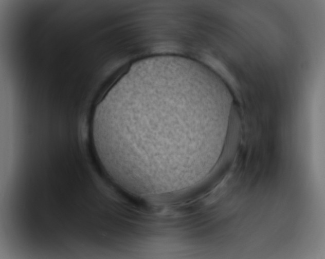 X0000092030060200710041109