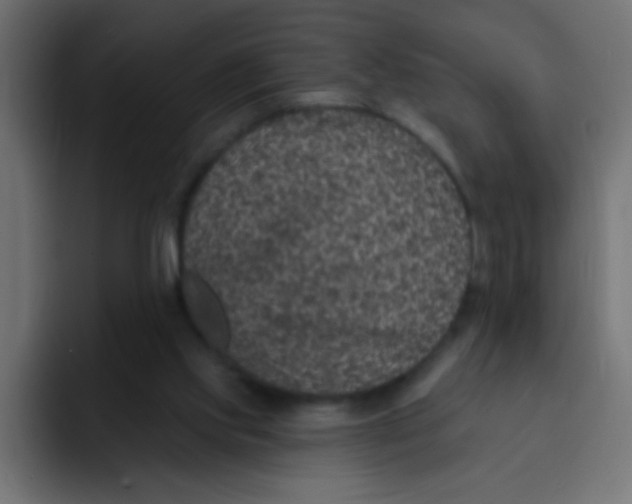 X0000092030061200710041109