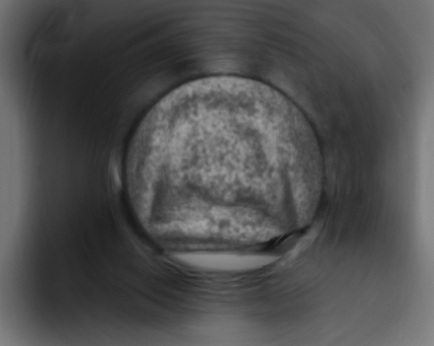 X0000092030062200710041109