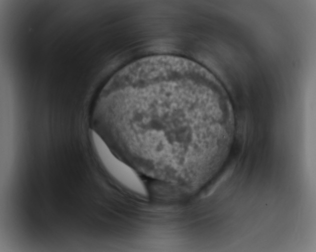 X0000092030063200710041109