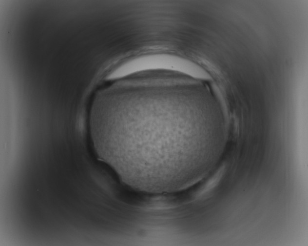 X0000092030064200710041109