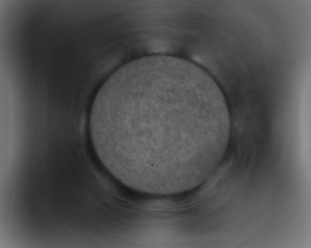 X0000092030066200710041109