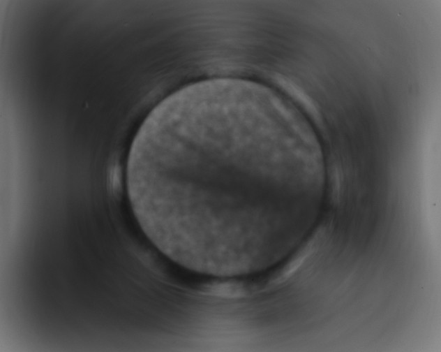 X0000092030067200710041109