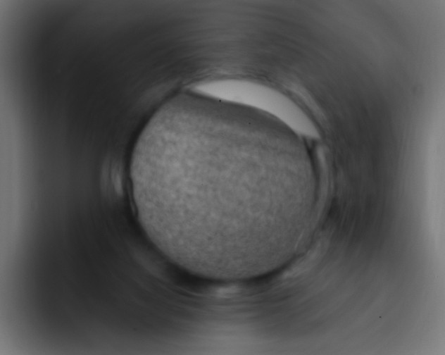 X0000092030068200710041109