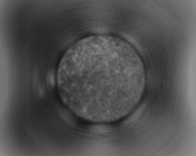 X0000092030069200710041109