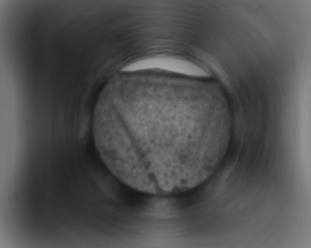 X0000092030073200710041109