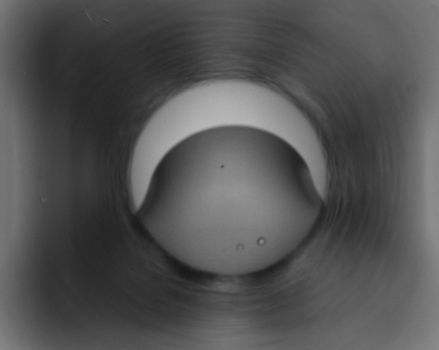 X0000092030076200710041109