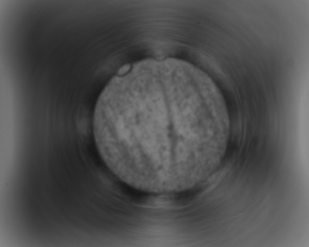 X0000092030078200710041109