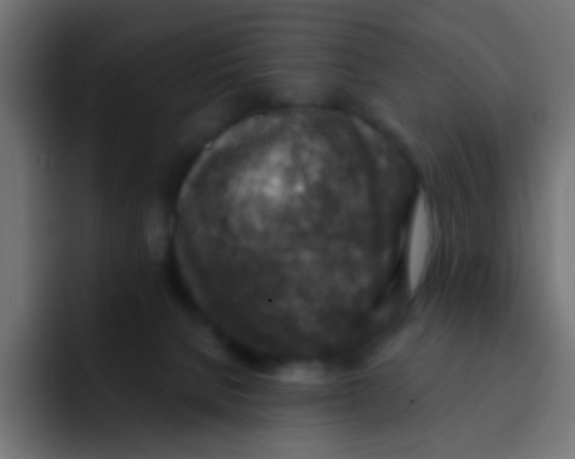 X0000092030080200710041109