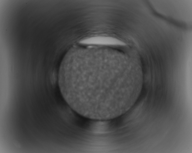 X0000092030081200710041109