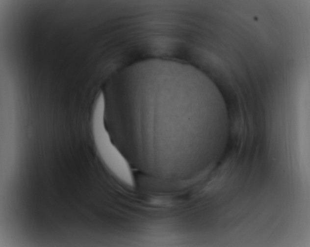 X0000092030084200710041109