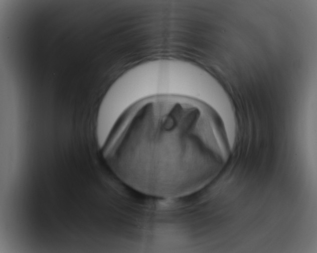 X0000092030092200710041109