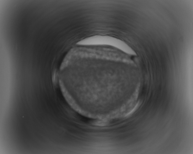 X0000092030094200710041109