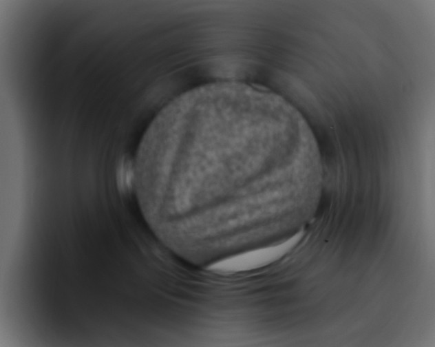 X0000092030095200710041109