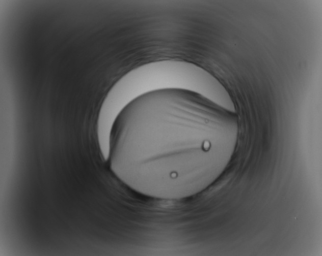 X0000092030096200710041109